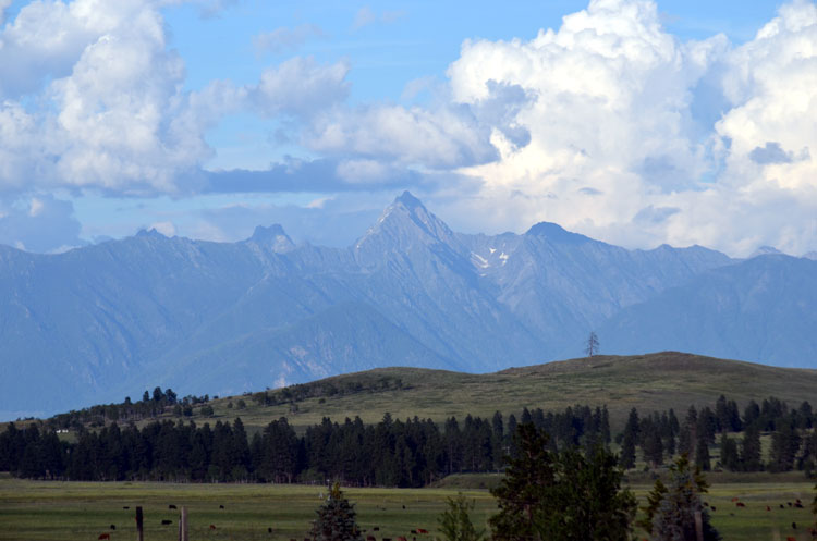 Wycliffe Prairie with Mount Fisher