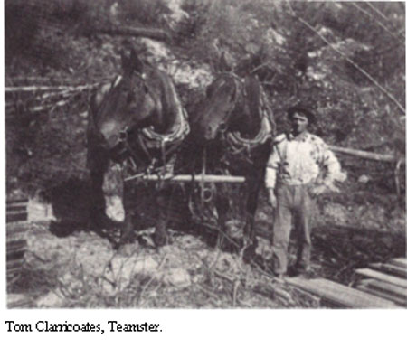 Tom Clarricoates, Teamster