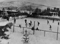 top mine rink late 20s
